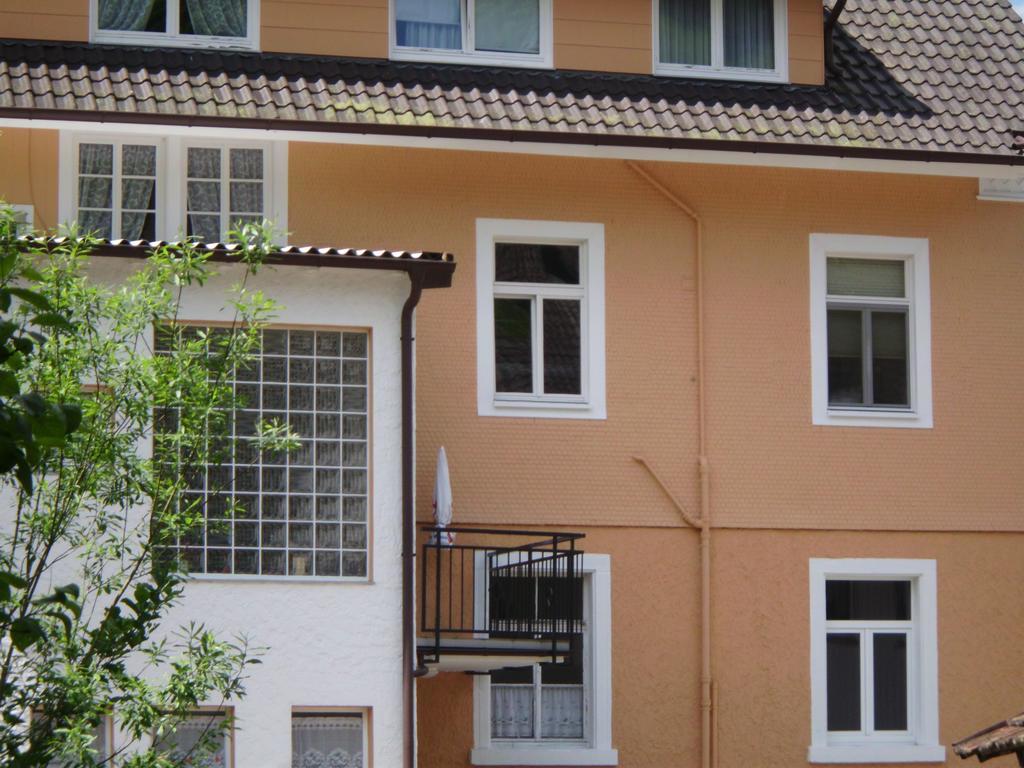Finken, Gaestezimmer An Der Rench Oppenau Exterior photo